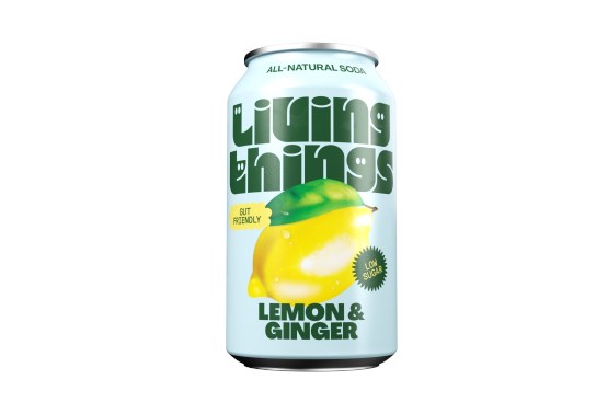 Living Things | Lemon Ginger 330ml